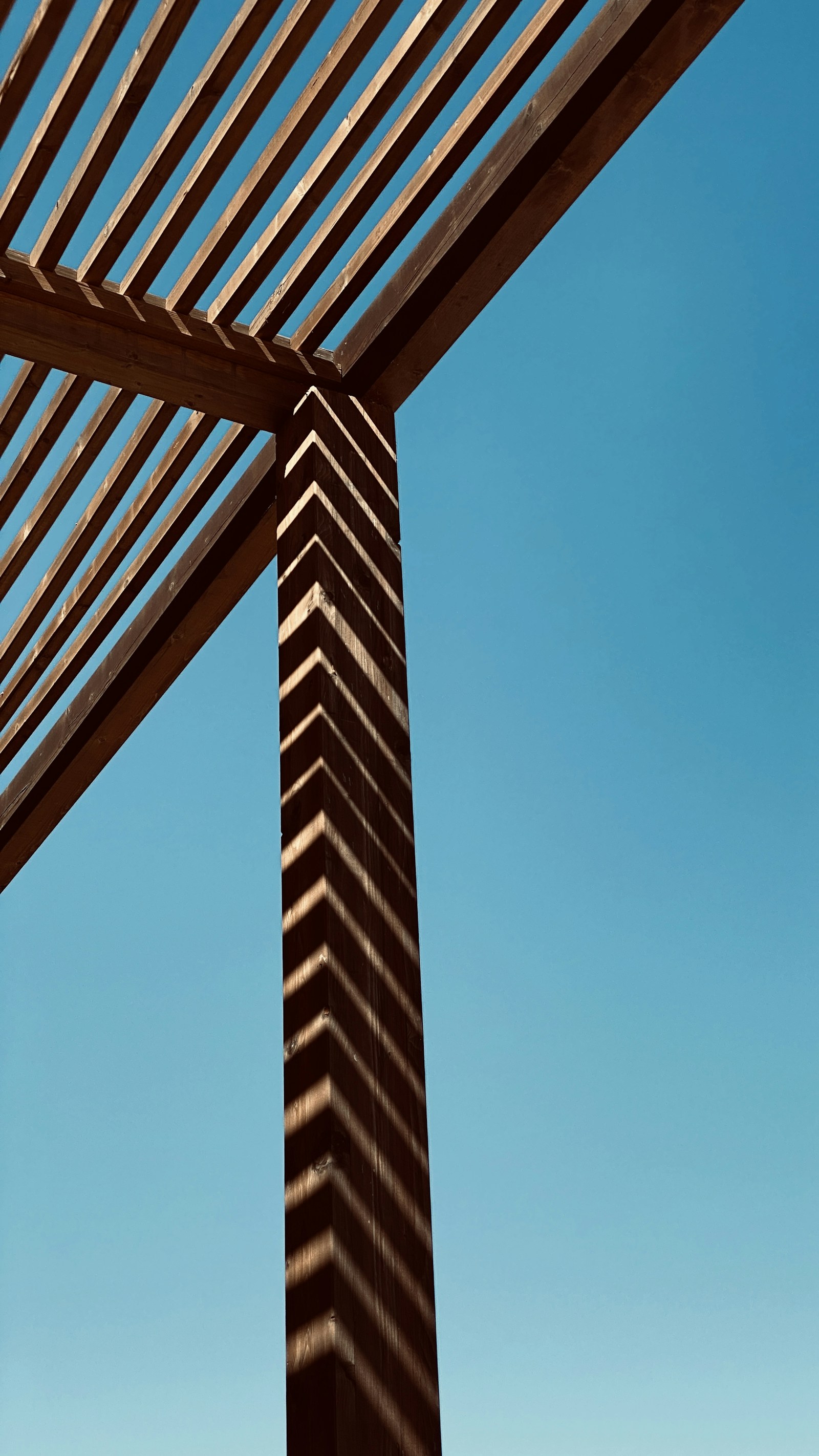 Born to Build, decks and pergolas illustration